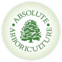 Absolute Arboriculture logo